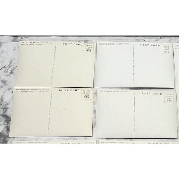 Nara-Park Japan RPPC Postcard Vintage Set of 9 Travel Souvenir Photos 1940s - Picture 13 of 16